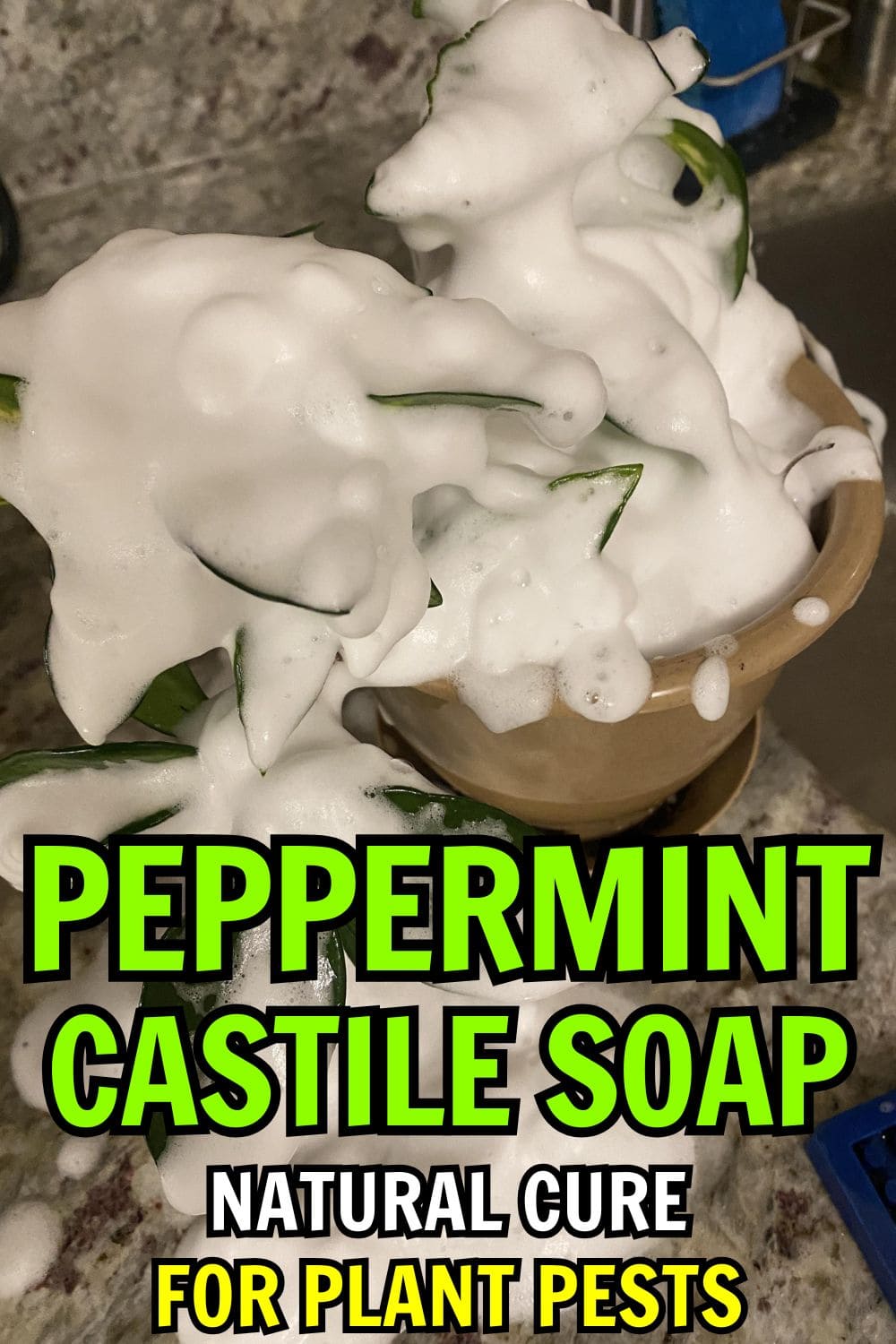 Peppermint Castile Soap: The Natural Cure-All for Plant Pests
