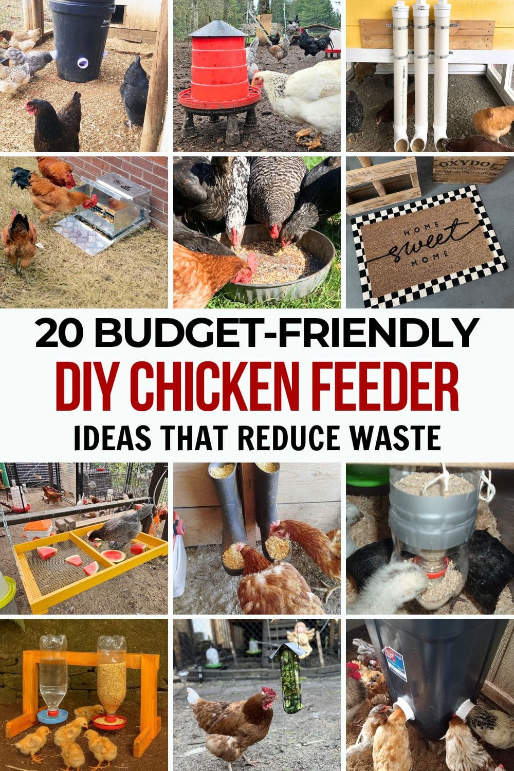 20 Budget-Friendly DIY Chicken Feeders That Reduce Waste 20 Budget-Friendly DIY Chicken Feeders That Reduce Waste