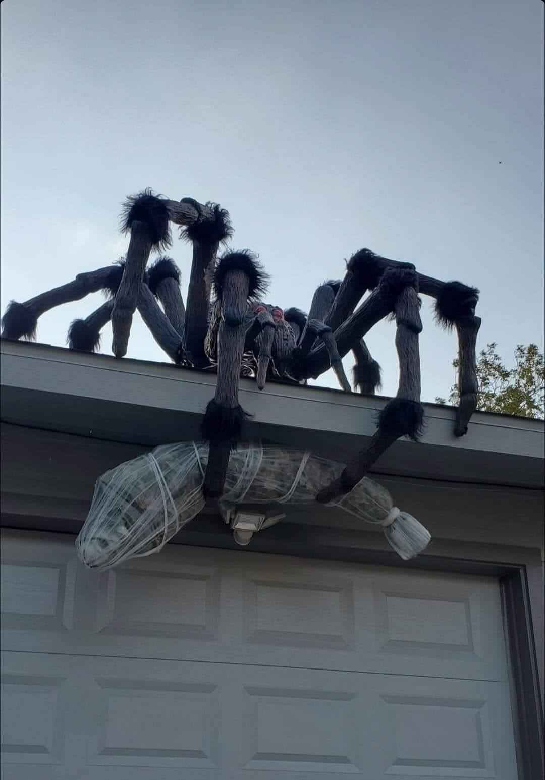 Giant PVC Spider for Roof or Garage
