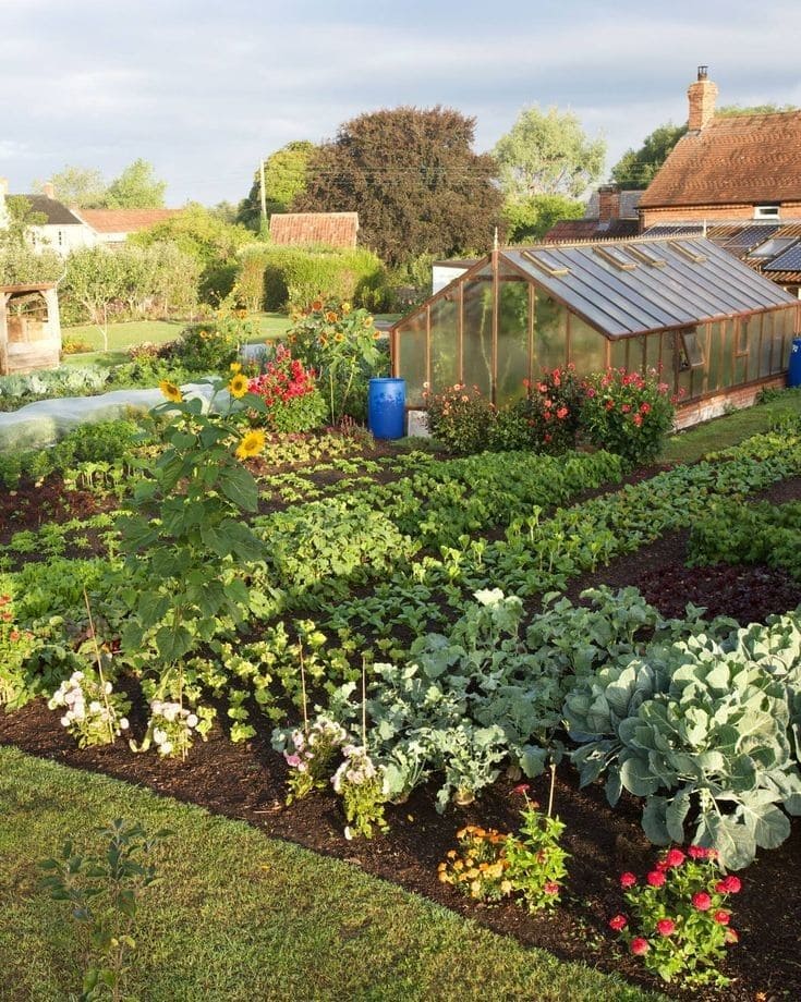 18 Homestead Garden Layout Ideas for Self-Sufficient Living Greenhouse-Integrated Homestead Layout