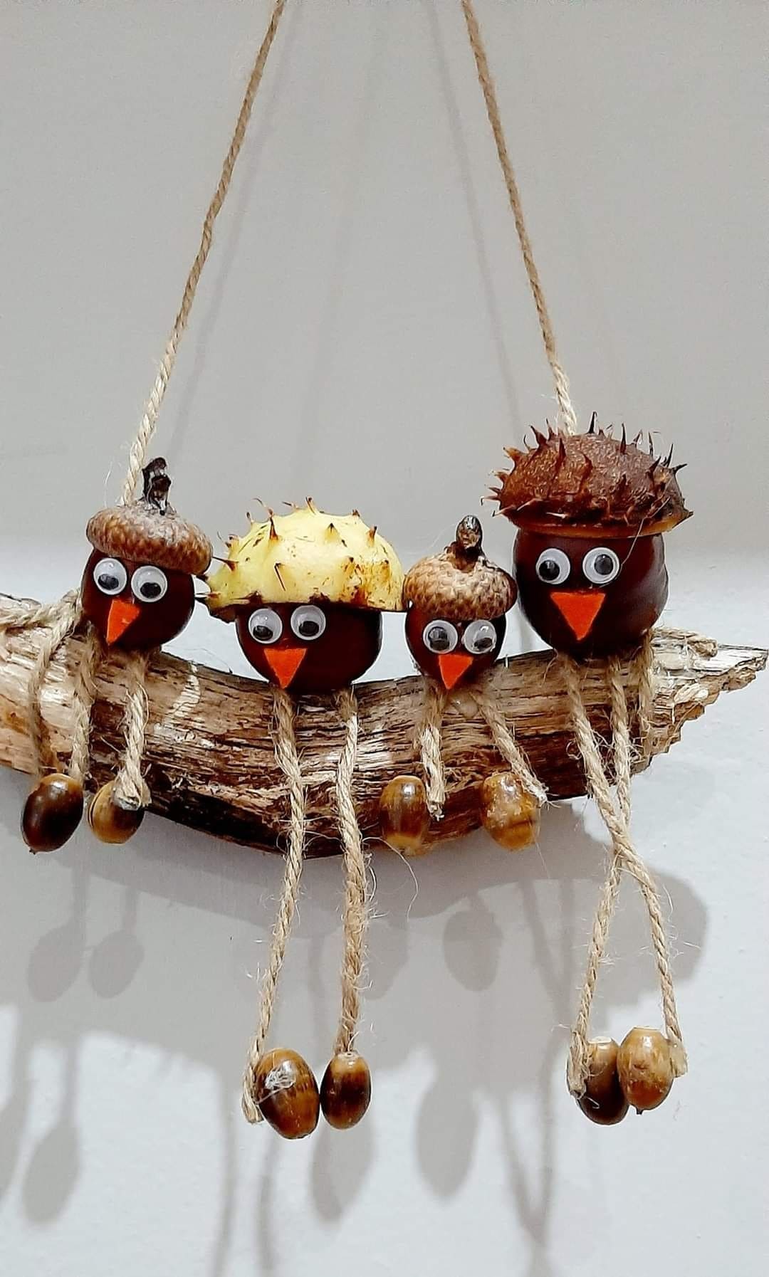 Hanging Chestnut Bird Family