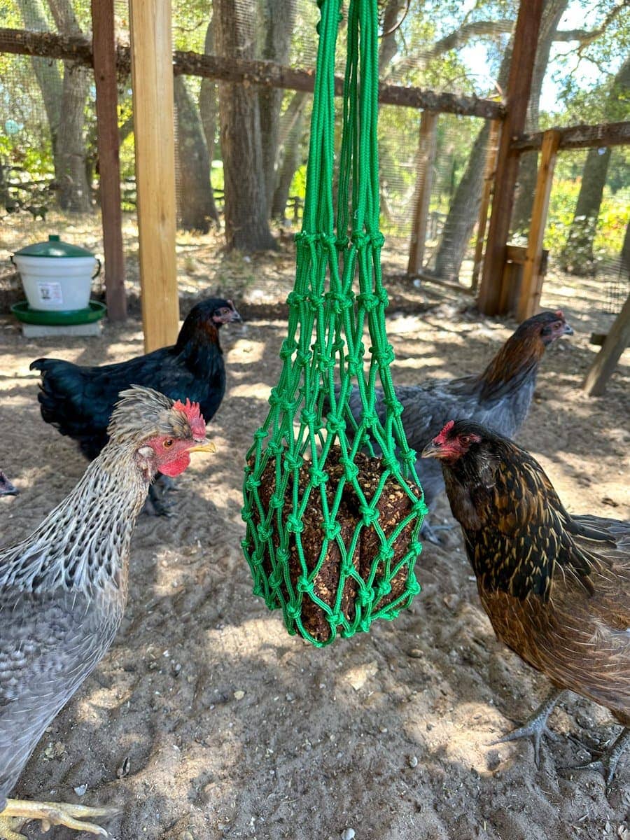 Hanging Flock Treat Ball