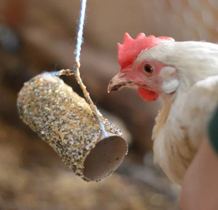 Hanging Seed Roll Treat Feeder