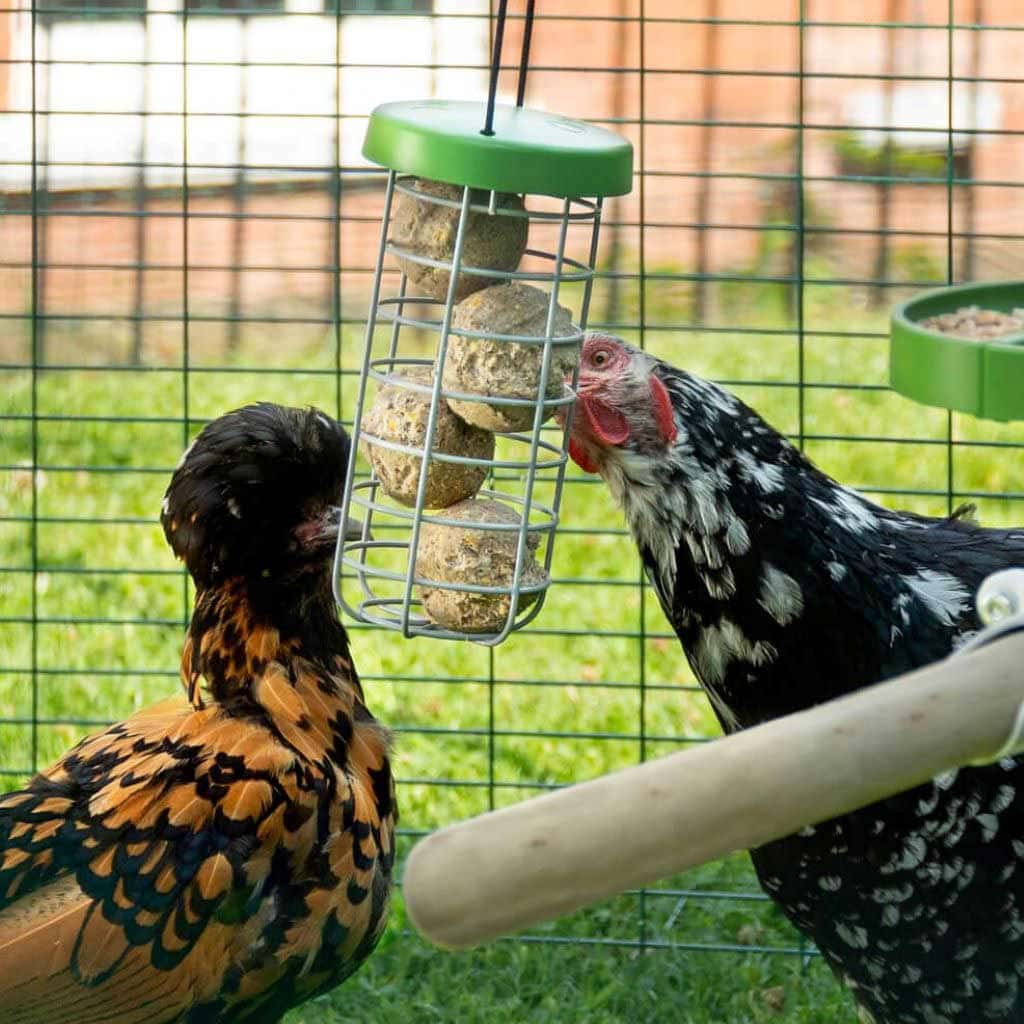 Hanging Suet Ball Feeder