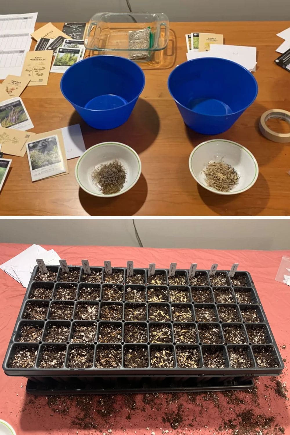 The Smart Way to Start Seeds - One Tray for Many Plants