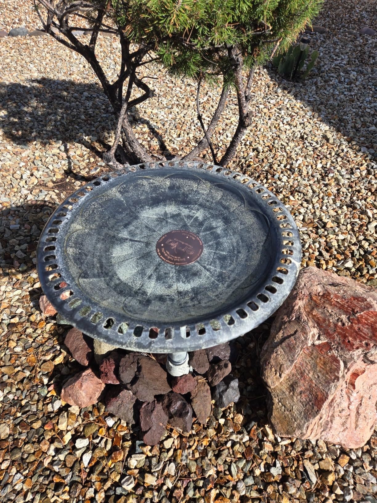 How to Keep Your Bird Bath Clean with Copper