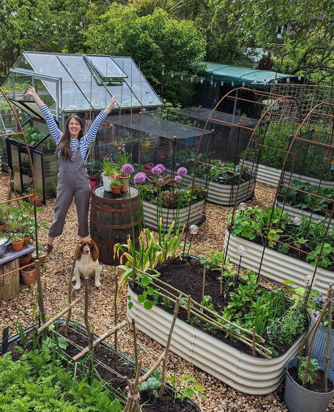 18 Homestead Garden Layout Ideas for Self-Sufficient Living Joyful Backyard Greenhouse Homestead