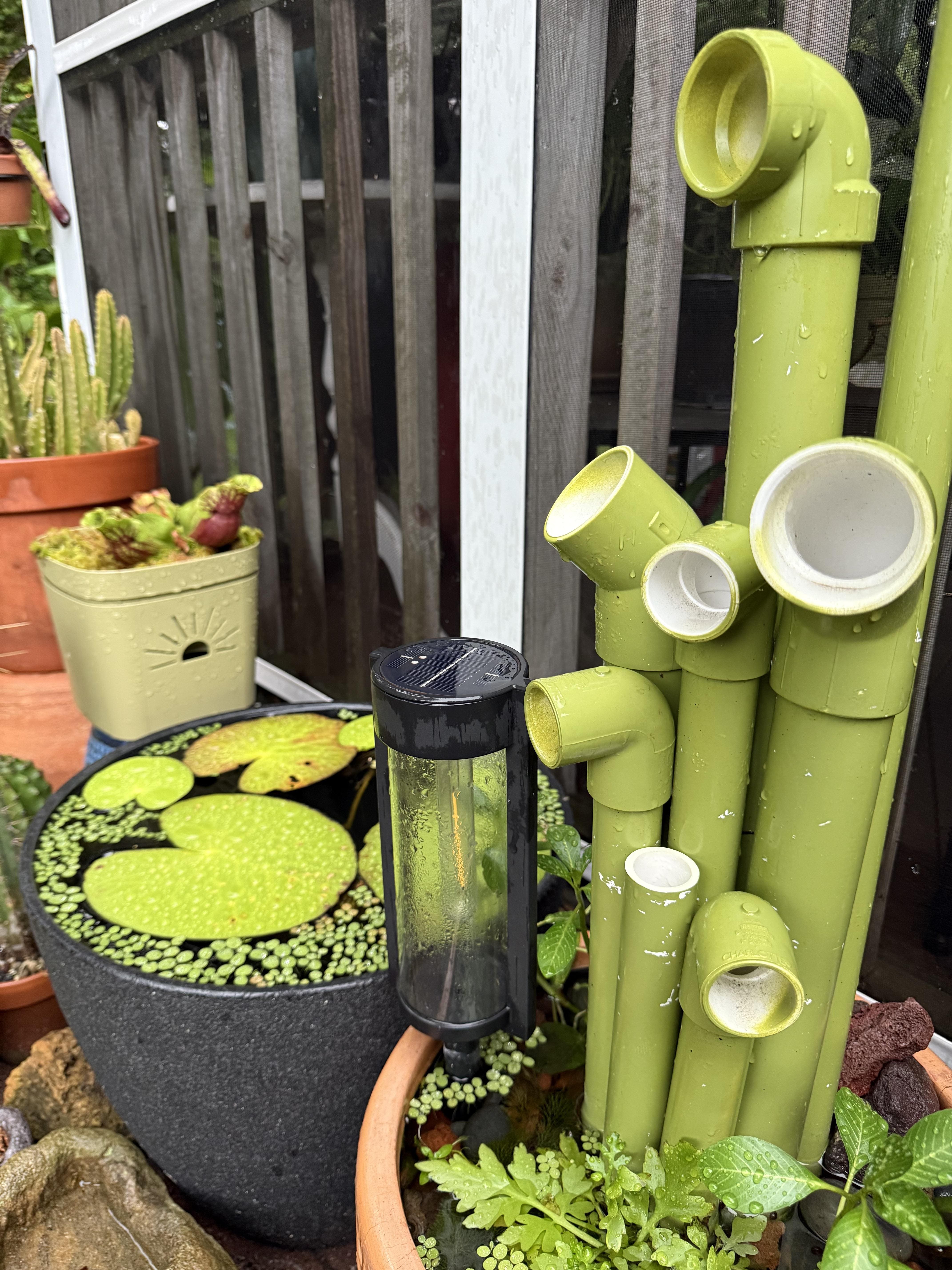 How to Build a Frog Hotel in Your Garden