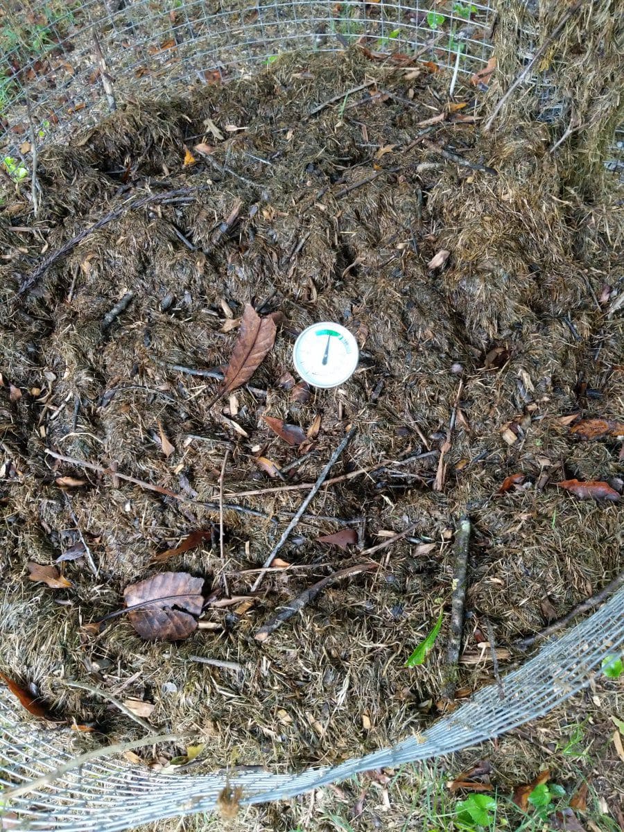 Make Rich Compost in Just 18 Days with the Berkeley Method Make Rich Compost in Just 18 Days with the Berkeley Method