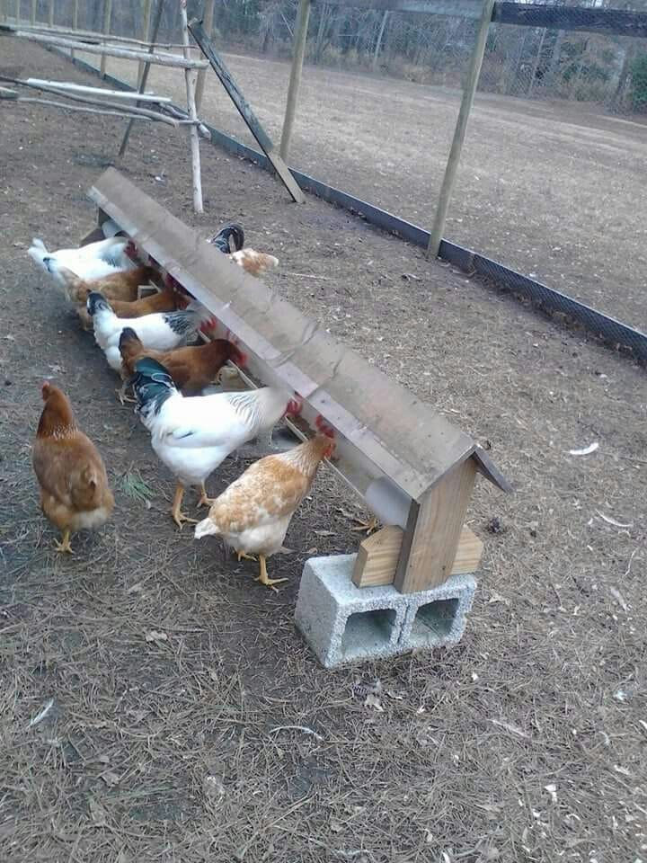 20 Budget-Friendly DIY Chicken Feeders That Reduce Waste Long PVC Tube Chicken Feeder with Roof Cover