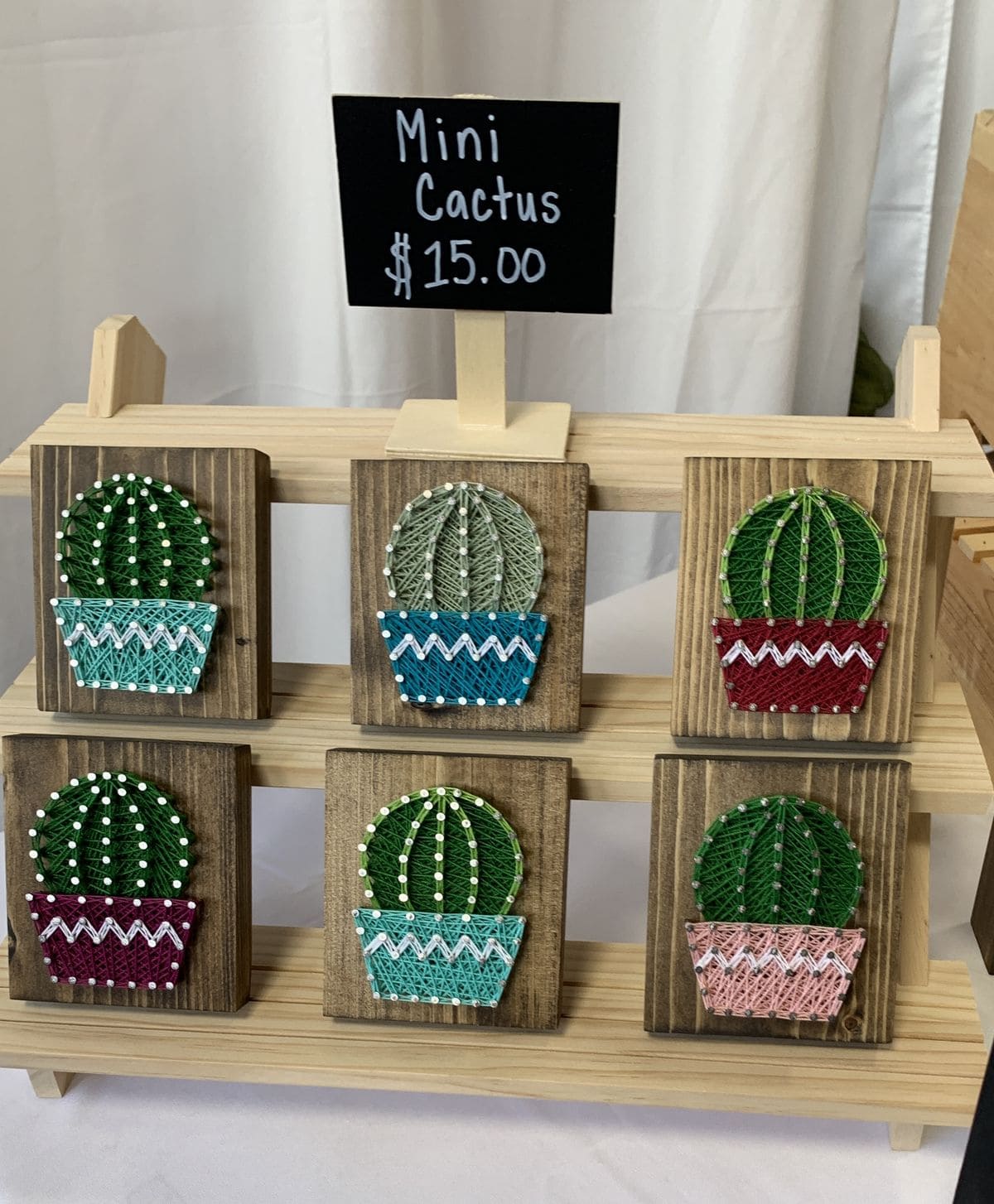 Mini Cactus String Art Collection