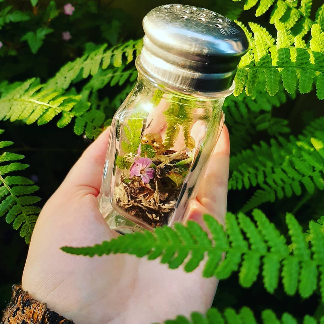 Mini Nature Terrarium in a Salt Shaker