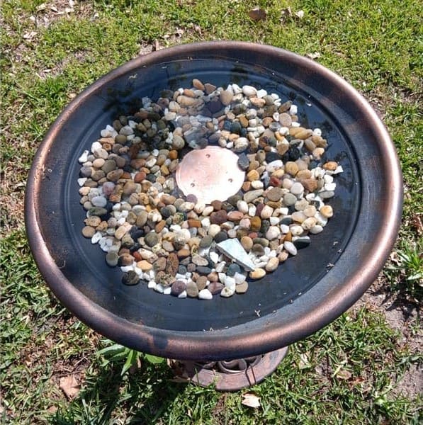How to Keep Your Bird Bath Clean with Copper