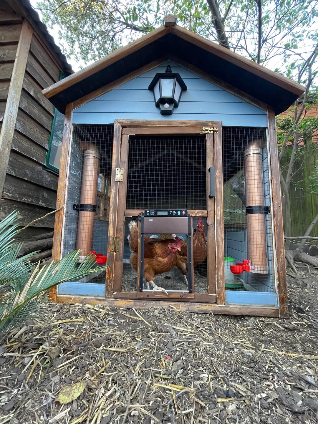 20 Budget-Friendly DIY Chicken Feeders That Reduce Waste PVC Pipe Chicken Feeder Coop Setup