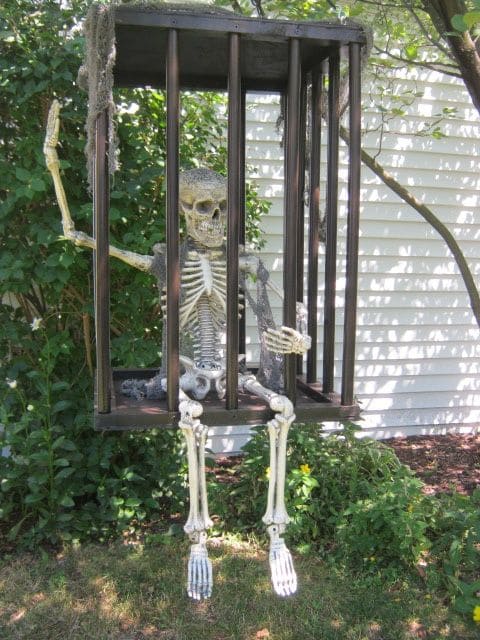 PVC Skeleton in a Hanging Cage