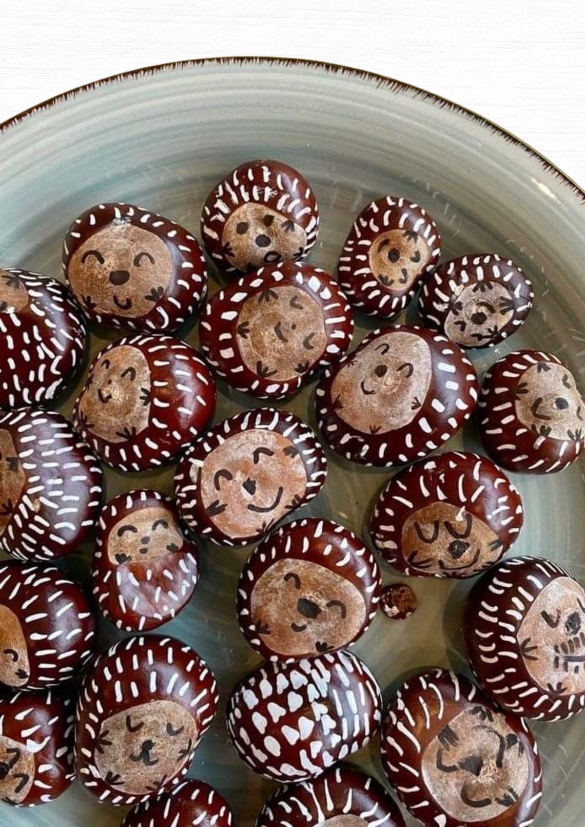 Painted Chestnut Hedgehog Family