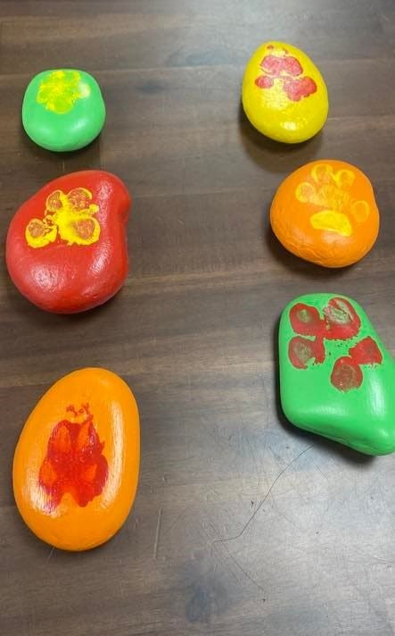 Painted Paw Print Rocks