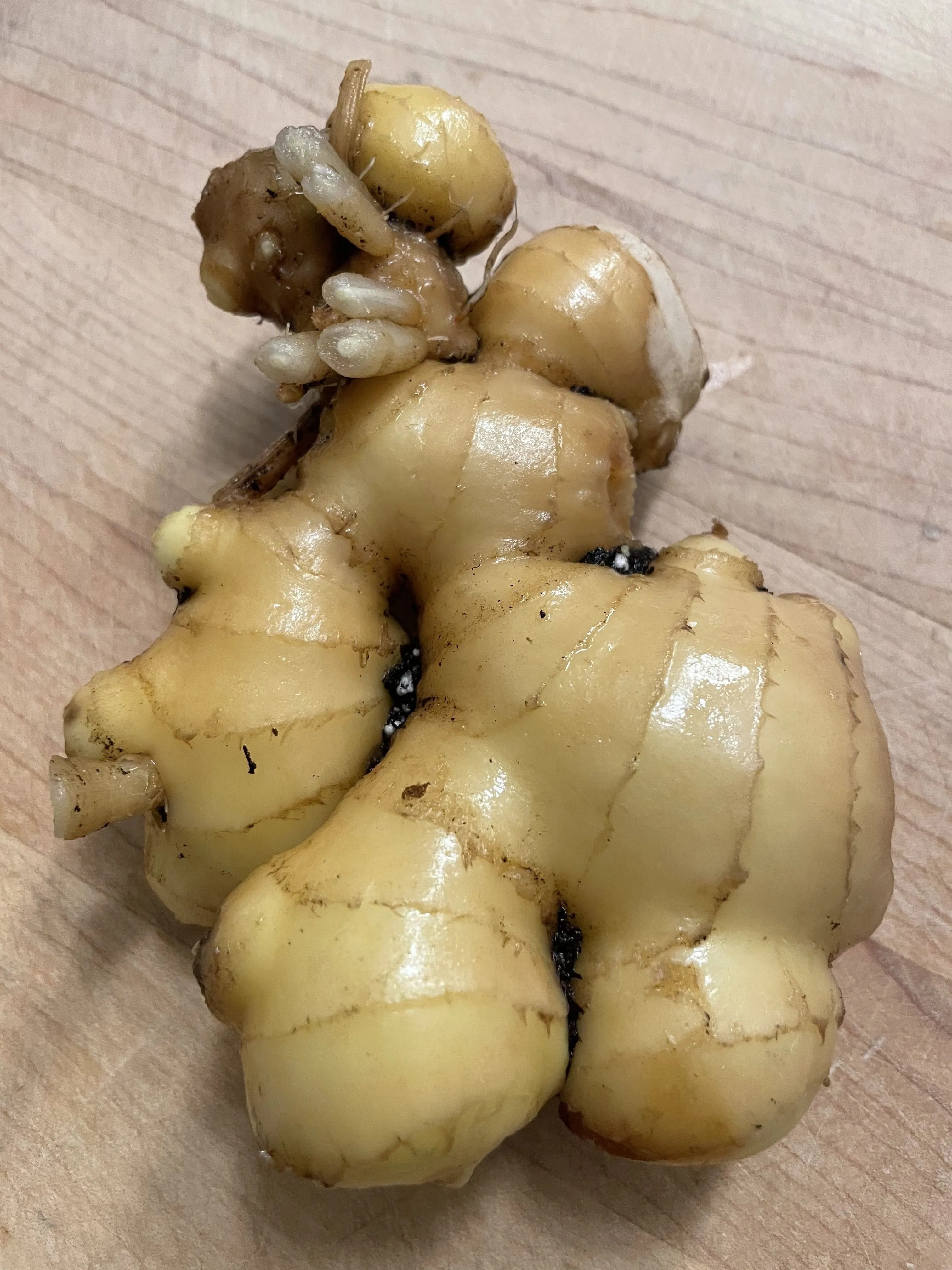 How to Grow Ginger in a Glass 100% Successfully
