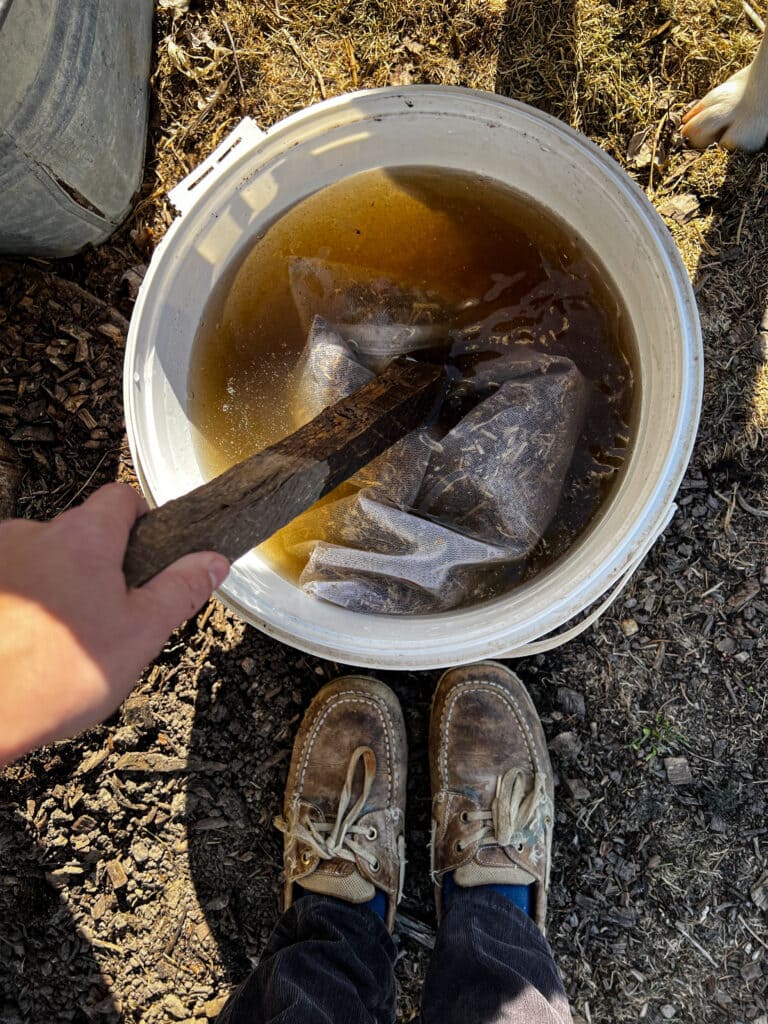 The Secret of Rabbit Poop Fertilizer in the Garden The Secret of Rabbit Poop Fertilizer in the Garden