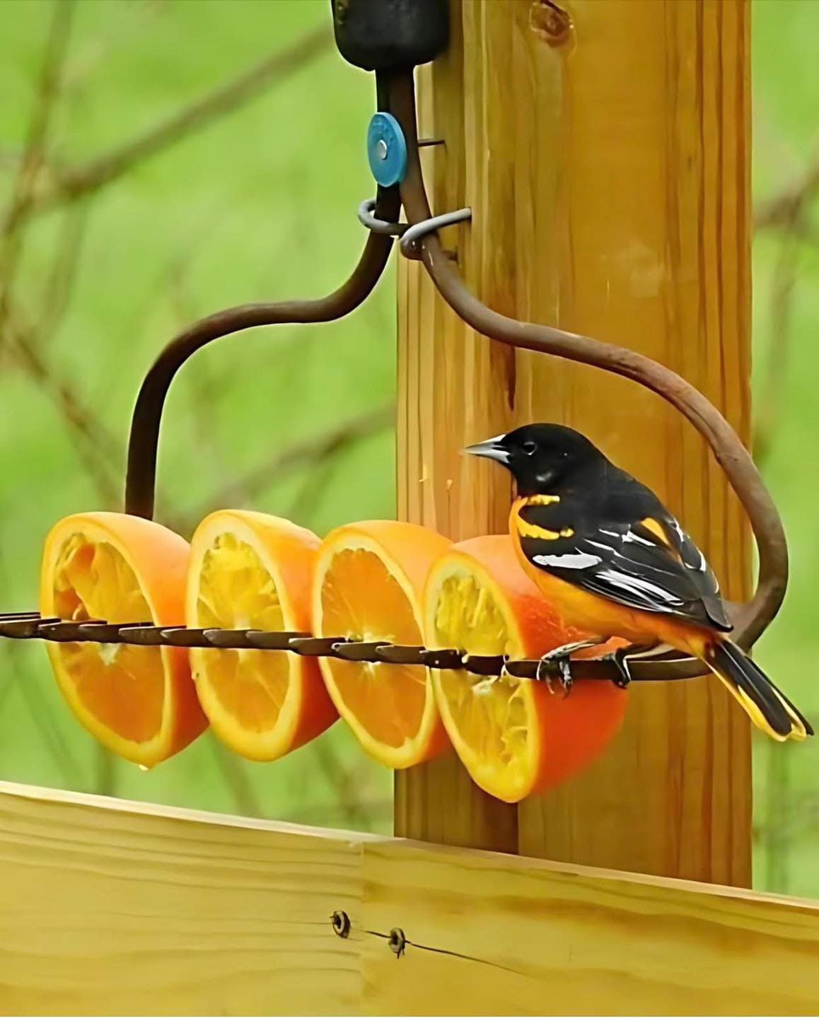 Rustic Rake Bird Feeder Delight