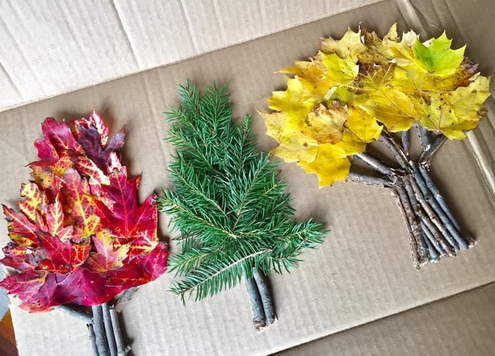 Seasonal Tree Leaf Collage