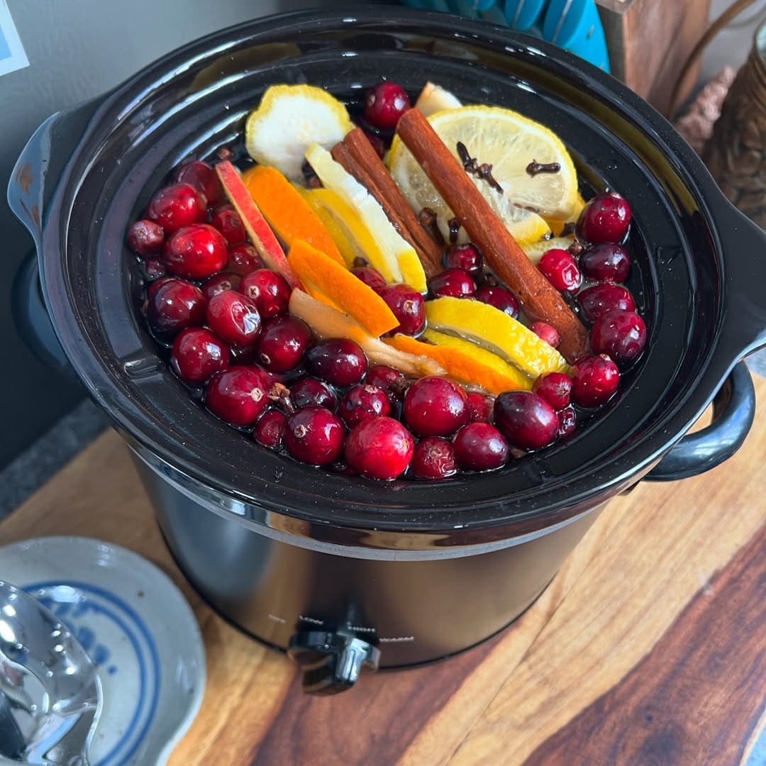 Full Guide to Making Your Own Christmas Simmer Pot