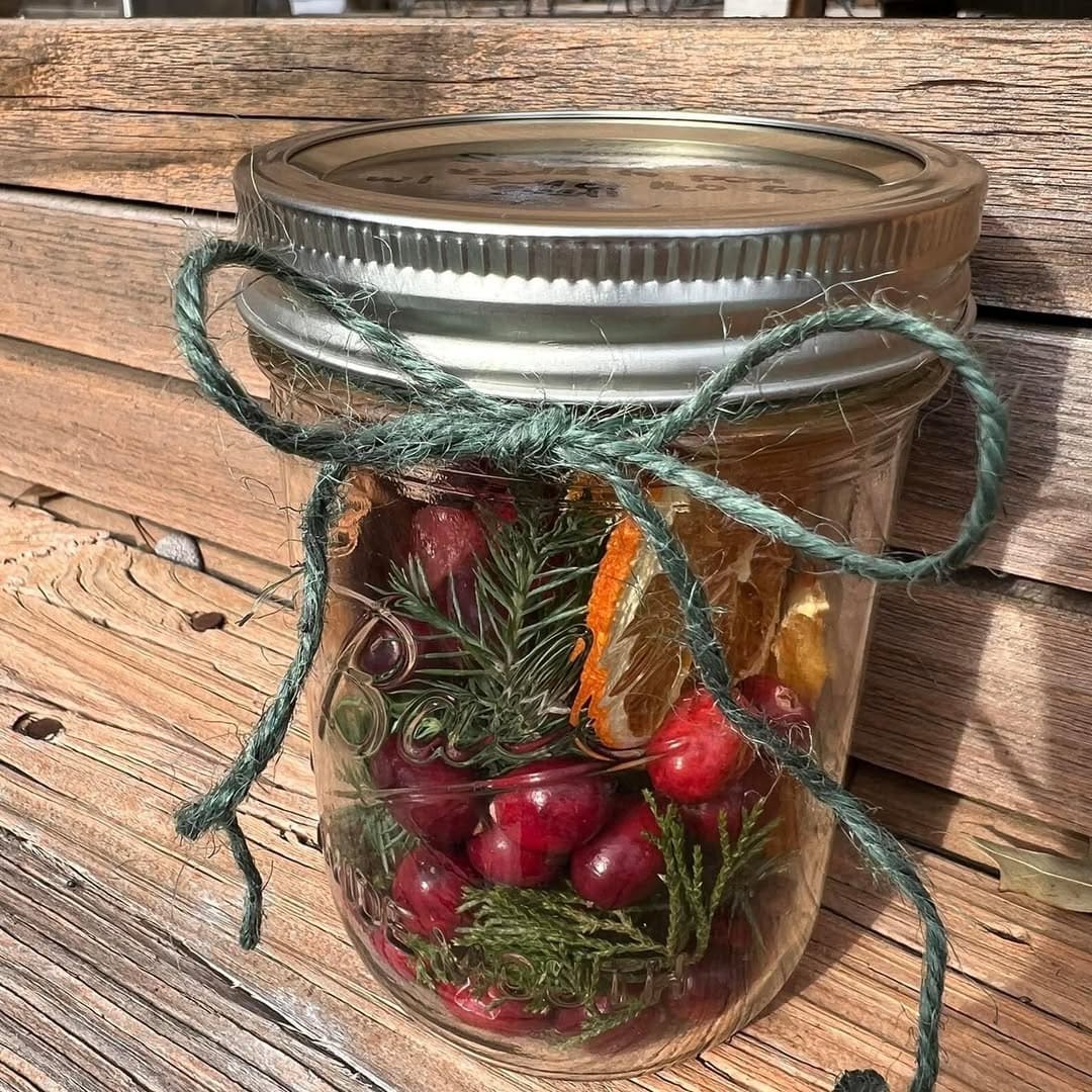 Full Guide to Making Your Own Christmas Simmer Pot