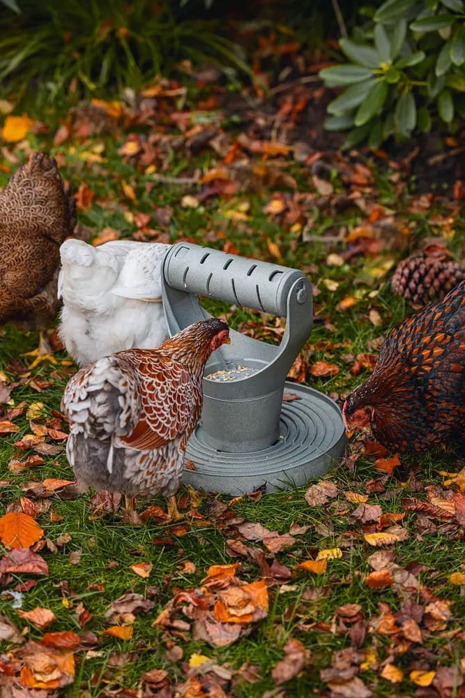 20 Budget-Friendly DIY Chicken Feeders That Reduce Waste Stylish Outdoor Chicken Feeder