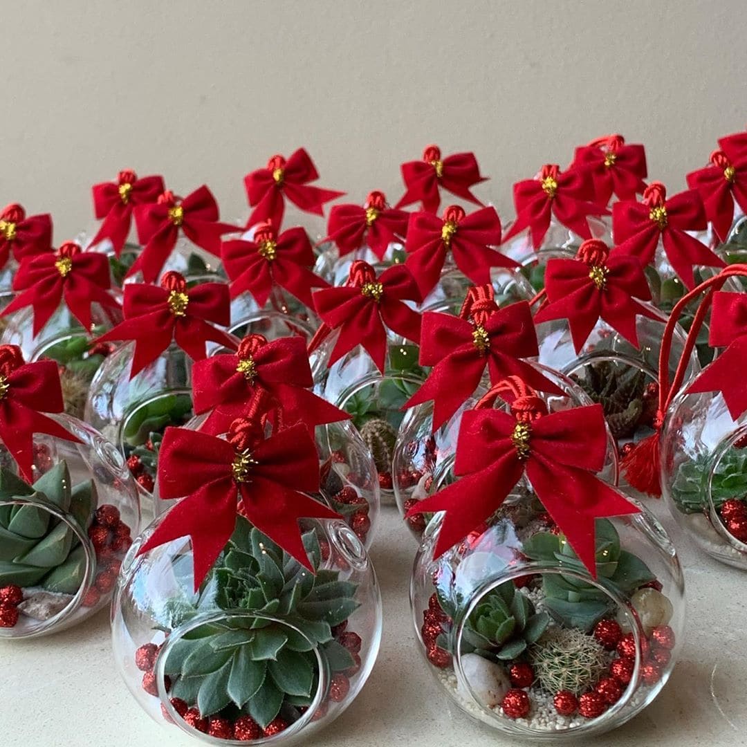 10 Holiday Plant Gifts That Bring Cheer and Greenery Succulent Ornament Holiday Terrariums