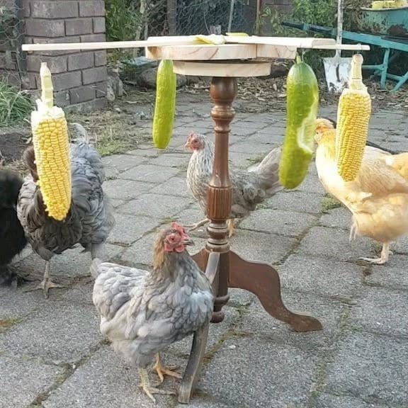 Swinging Veggie Snack Station