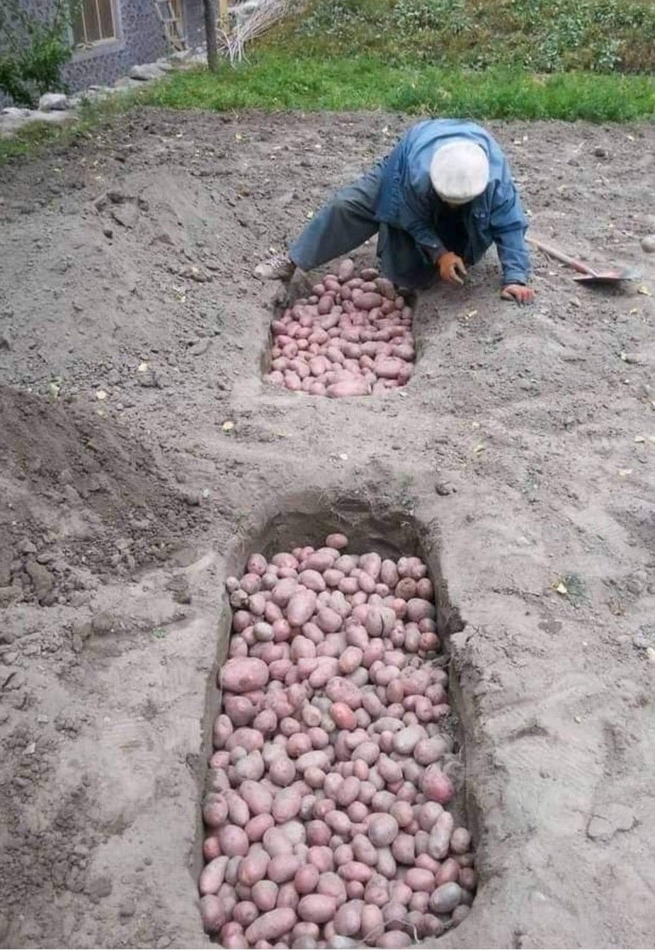 How Farmers in Hunza Keep Potatoes Fresh All Winter How Farmers in Hunza Keep Potatoes Fresh All Winter