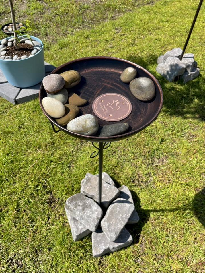 How to Keep Your Bird Bath Clean with Copper