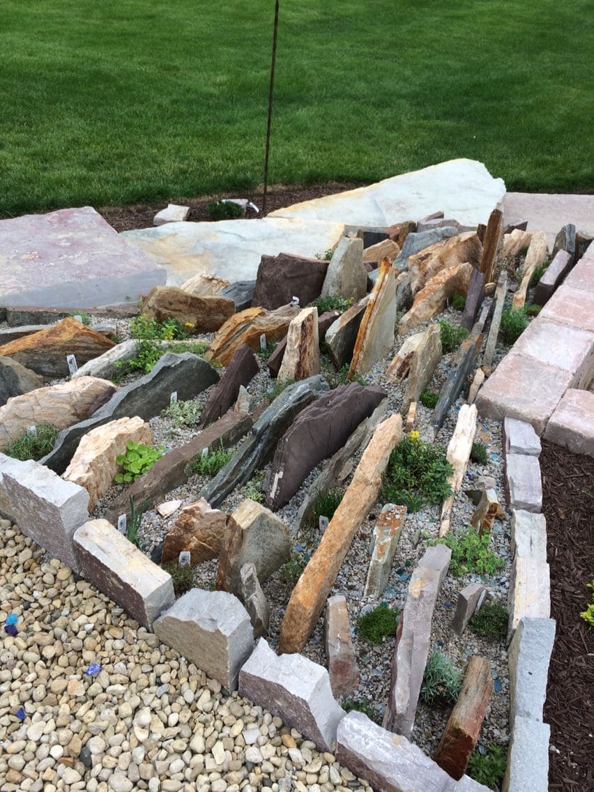 Why More And More Gardeners Choose Crevice Gardens Why More And More Gardeners Choose Crevice Gardens