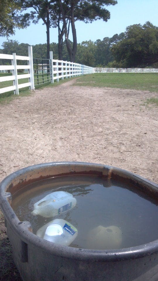 How to Keep Your Troughs from Freezing Without Electricity