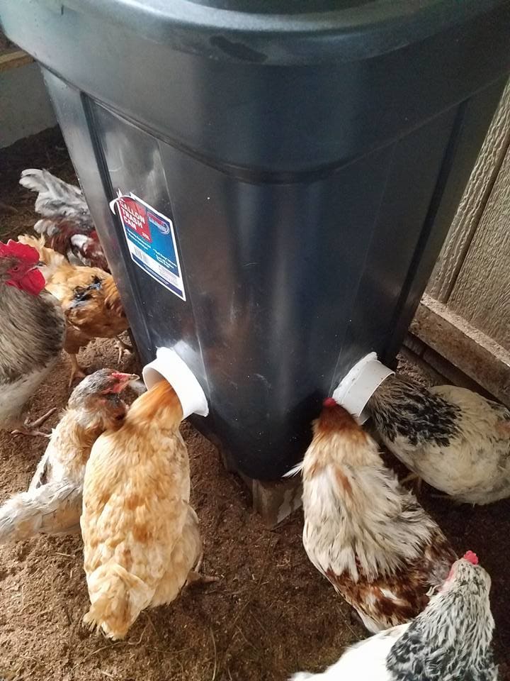 20 Budget-Friendly DIY Chicken Feeders That Reduce Waste Trash Bin Gravity Chicken Feeder