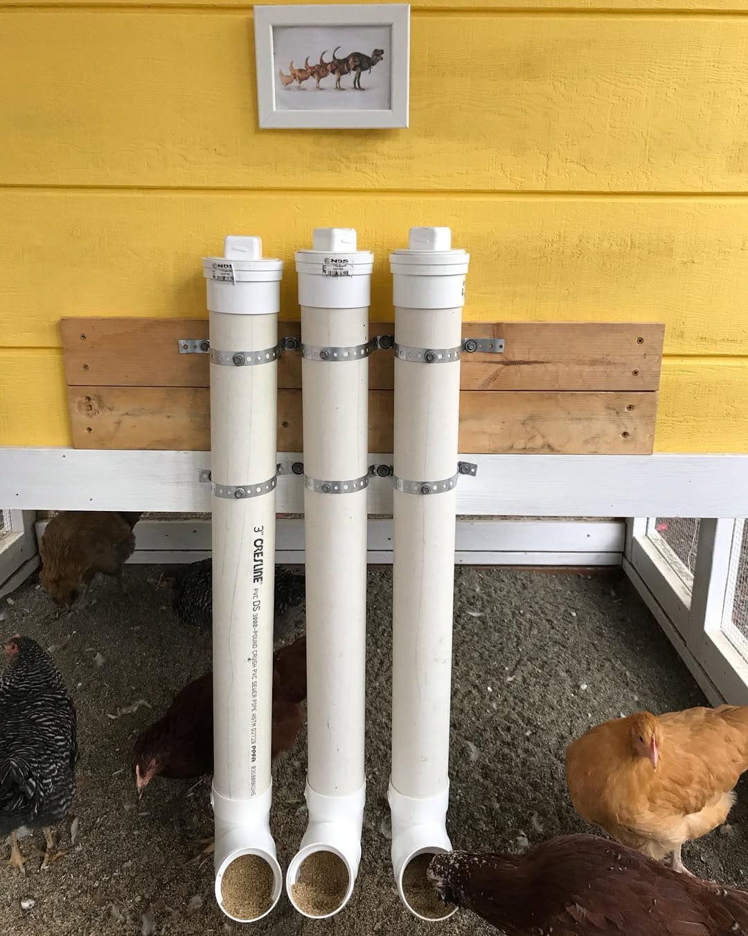 20 Budget-Friendly DIY Chicken Feeders That Reduce Waste Triple PVC Gravity Feeder Design