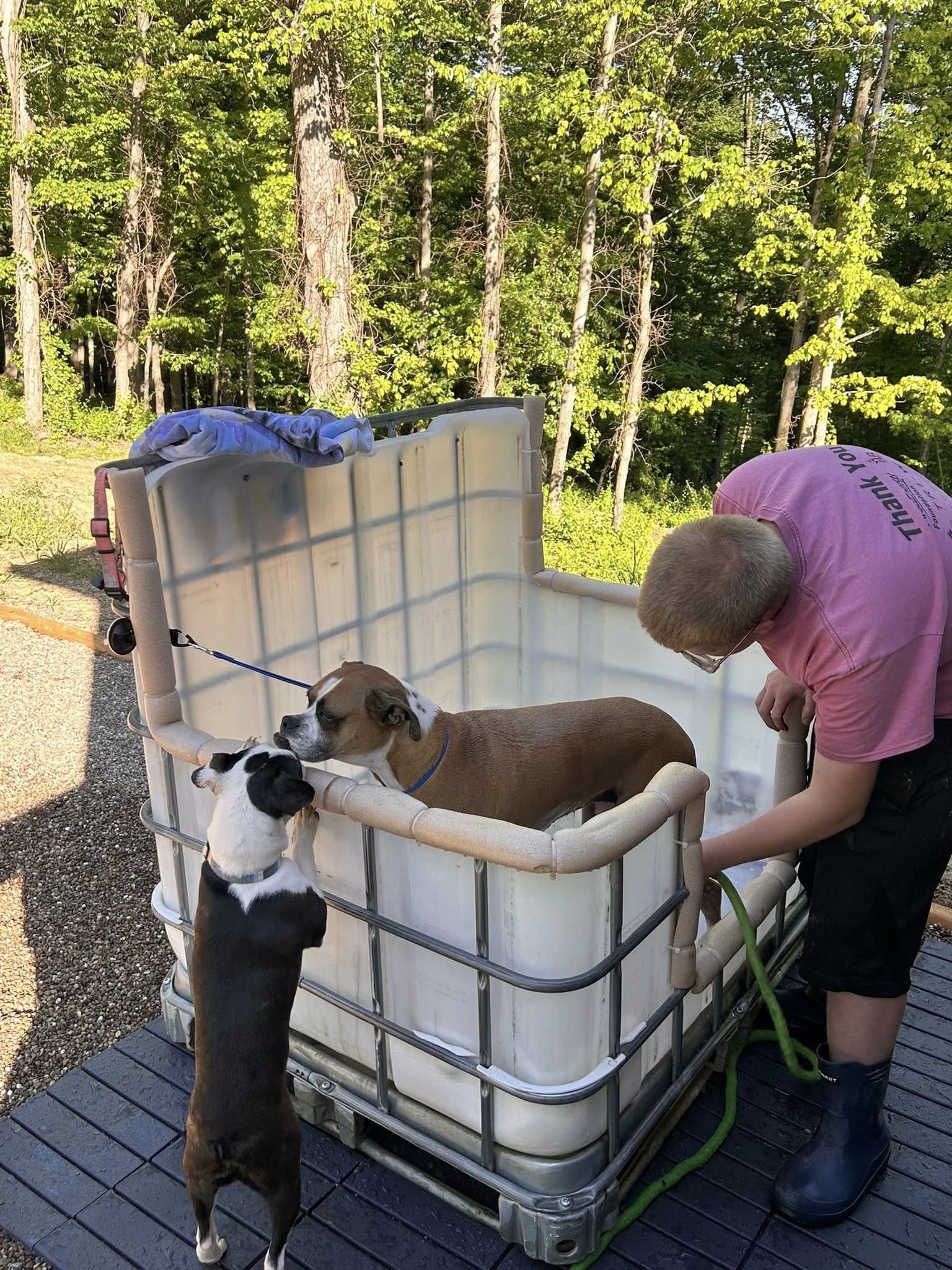Upcycled Dog Wash Station