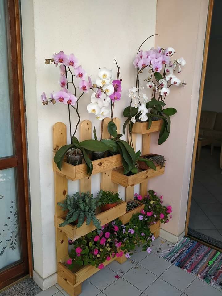 Vertical Wooden Orchid Garden Shelf
