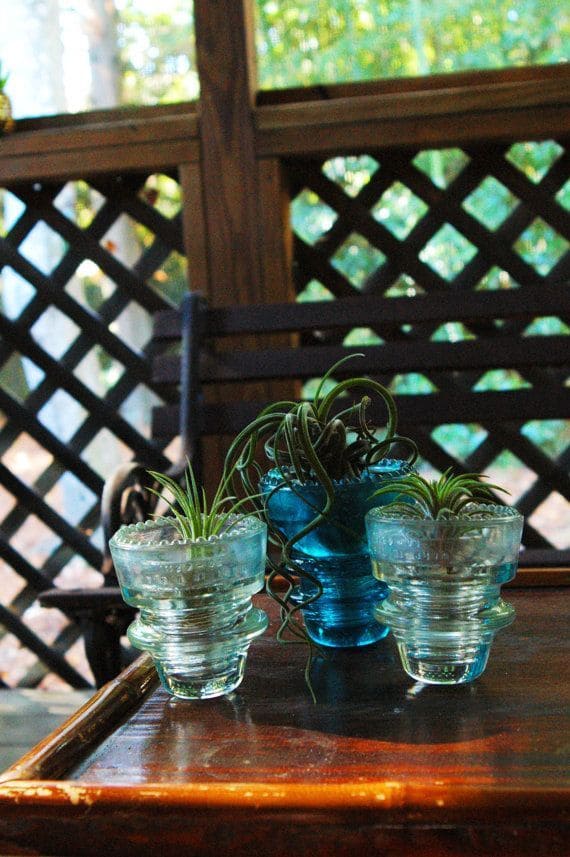 Vintage Glass Insulator Air Plant Holders
