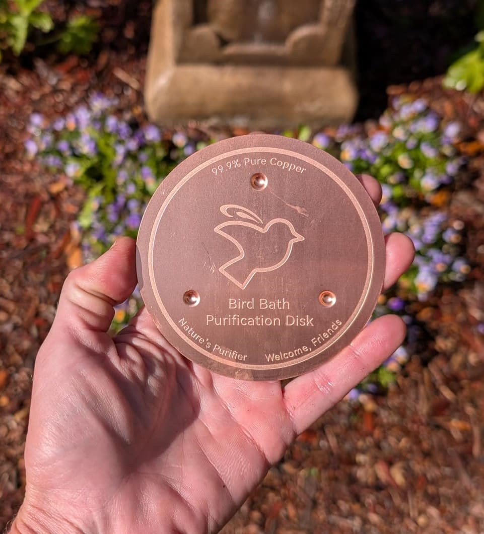 How to Keep Your Bird Bath Clean with Copper