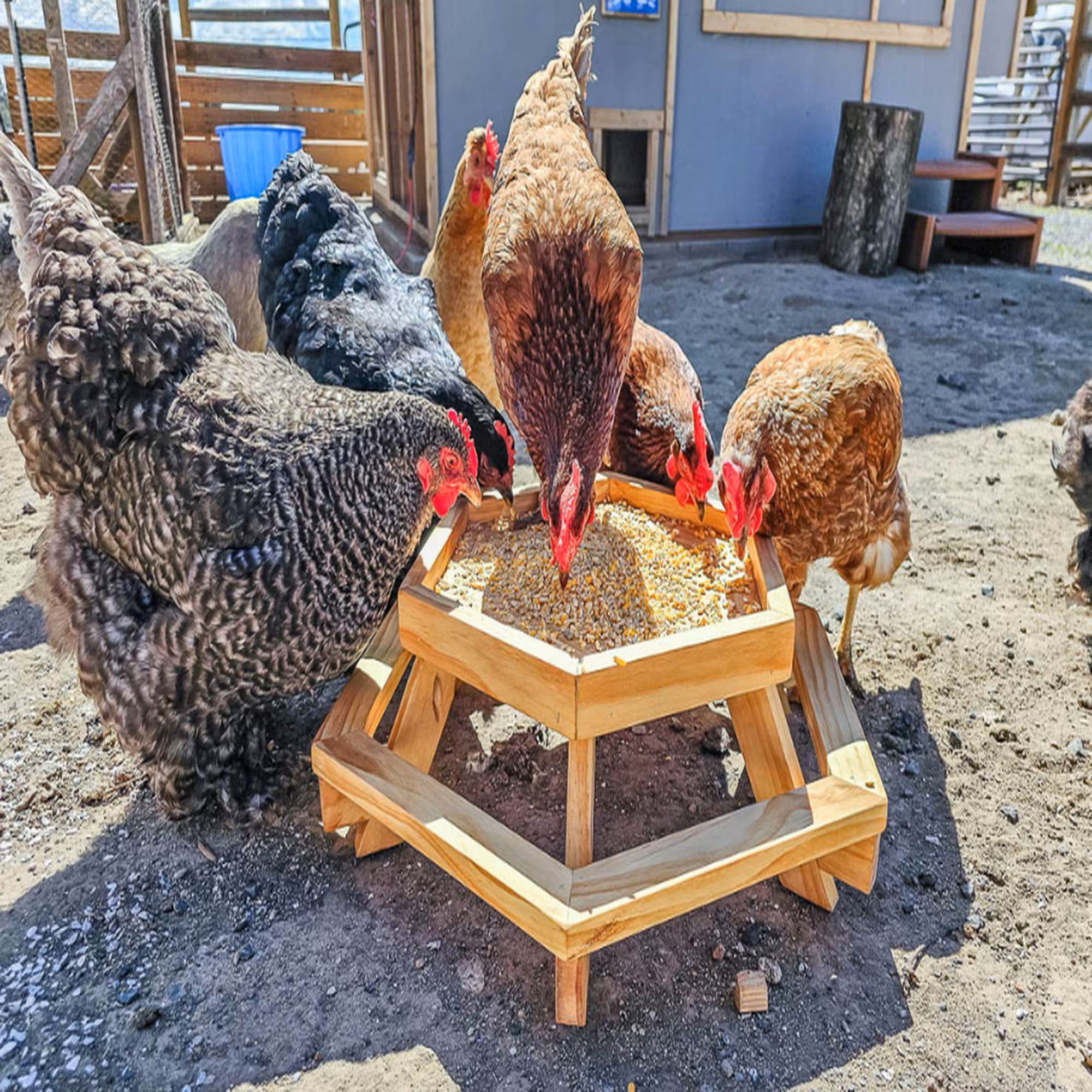 20 Budget-Friendly DIY Chicken Feeders That Reduce Waste Wooden Hexagon Chicken Feeder Table