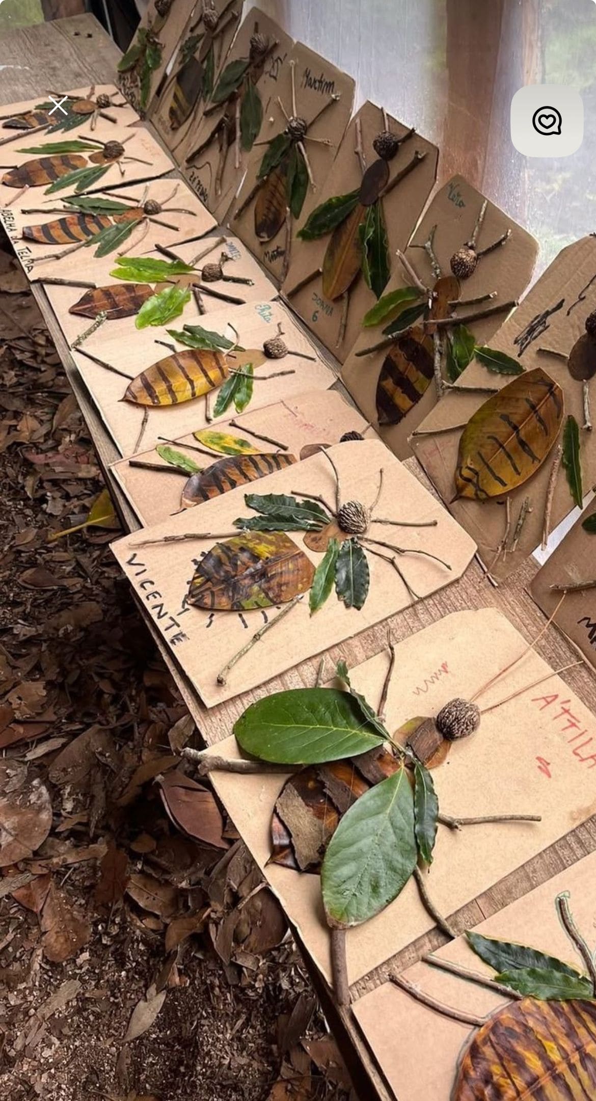 Woodland Bug Leaf Collage