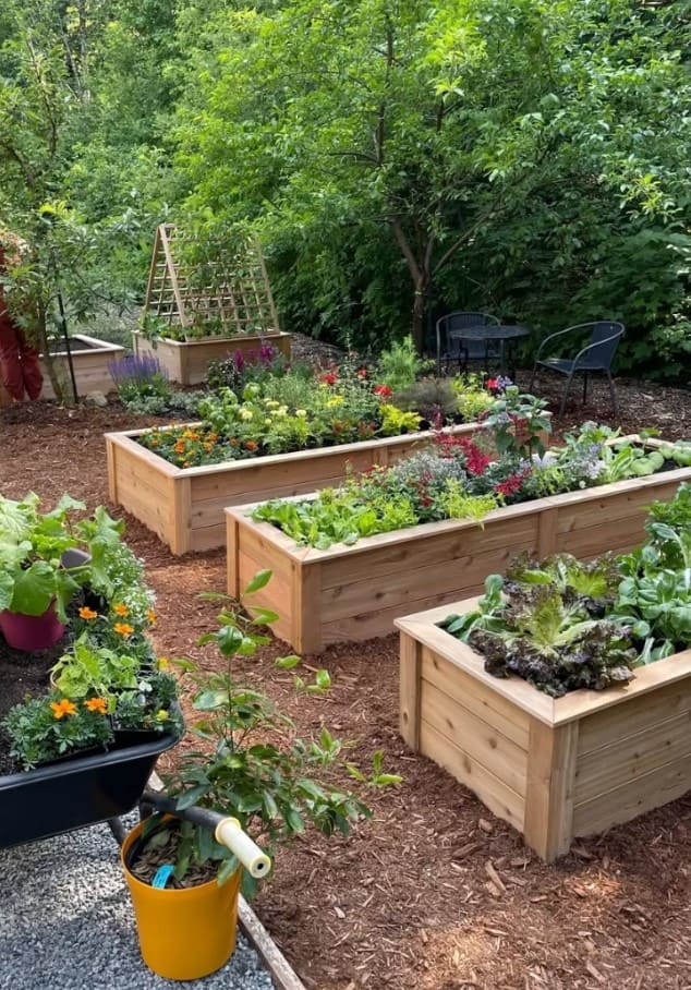 18 Homestead Garden Layout Ideas for Self-Sufficient Living Woodland Raised Bed Retreat