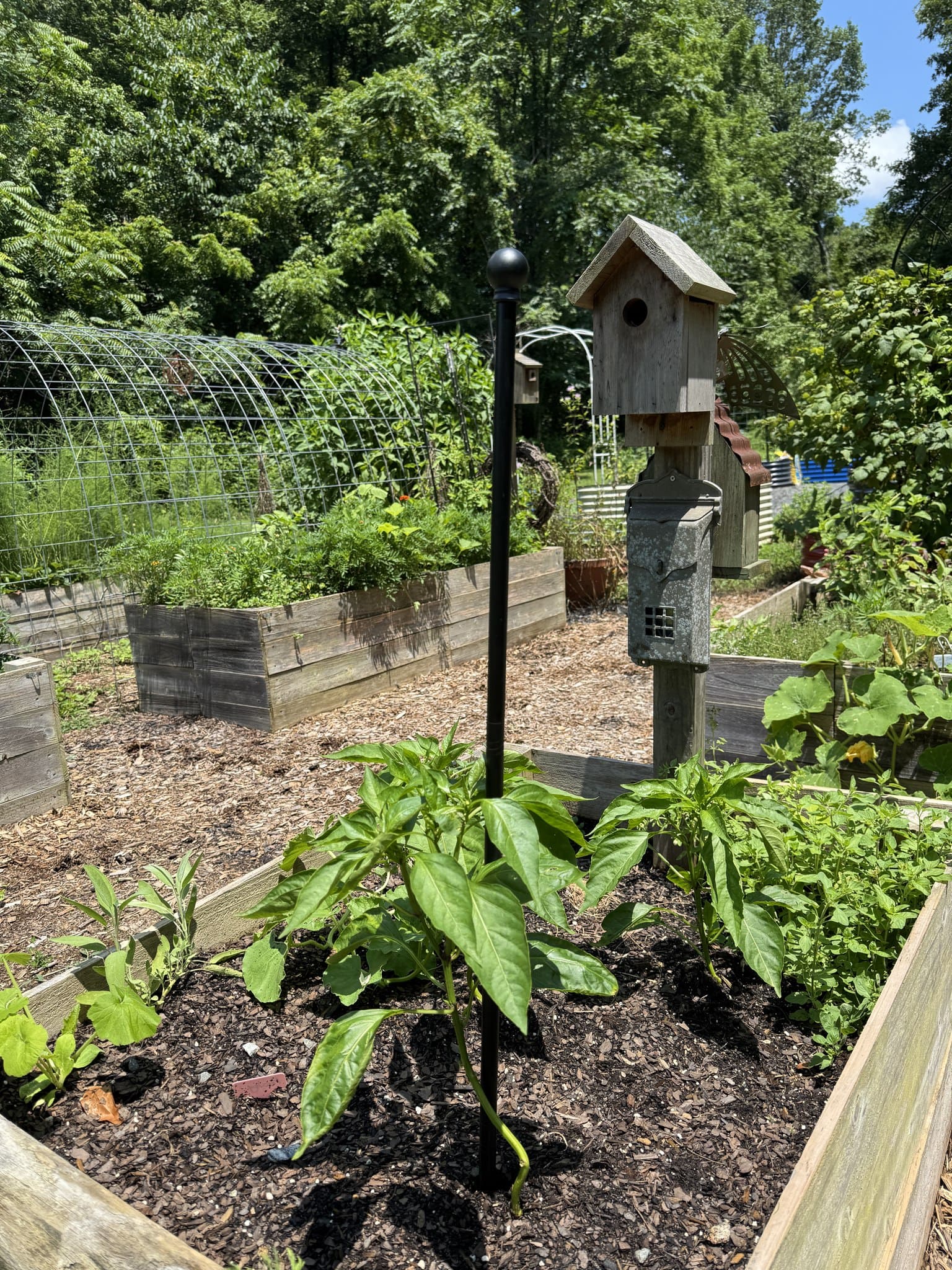 How to Turn Thrifted Curtain Rods Into Stylish Garden Plant Supports How to Turn Thrifted Curtain Rods Into Stylish Garden Plant Supports