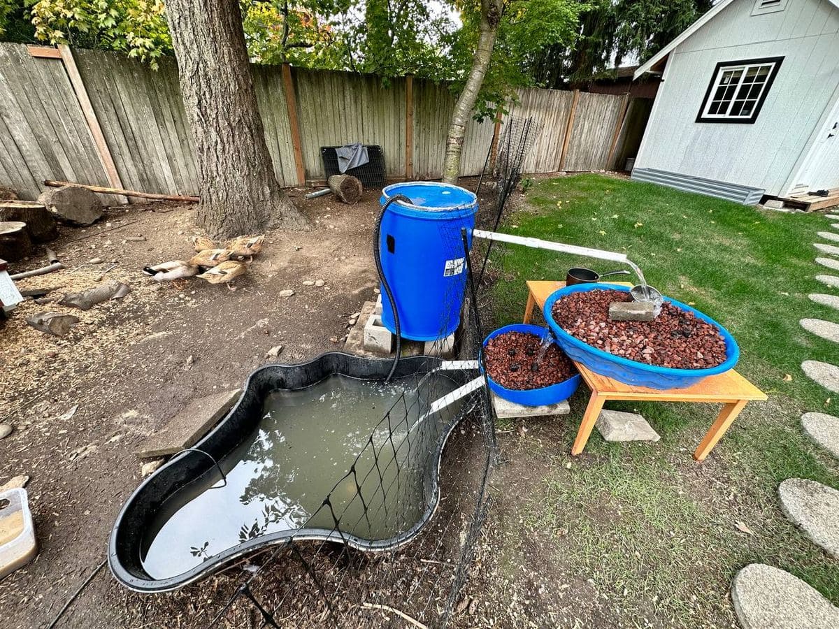 Backyard Pond With DIY Filtration Setup