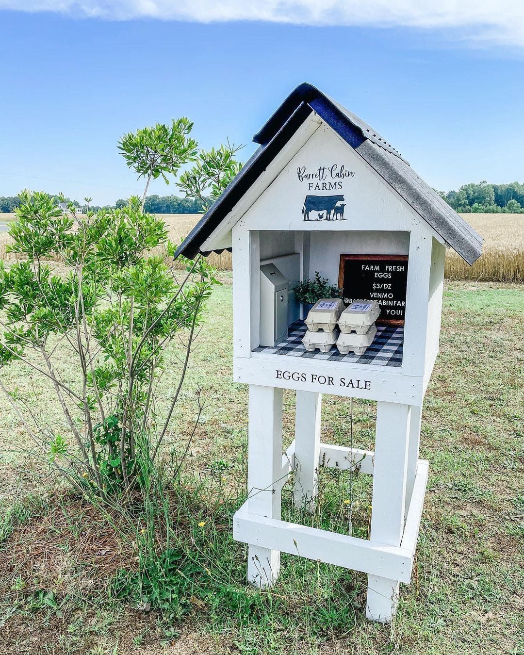 22 Charming DIY Farm Stand Ideas to Inspire Your Homestead Barrett Cabin Farms Egg House