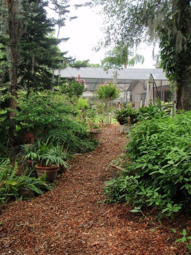 How to Make Mulch from Wood Chips for Your Garden How to Make Mulch from Wood Chips for Your Garden