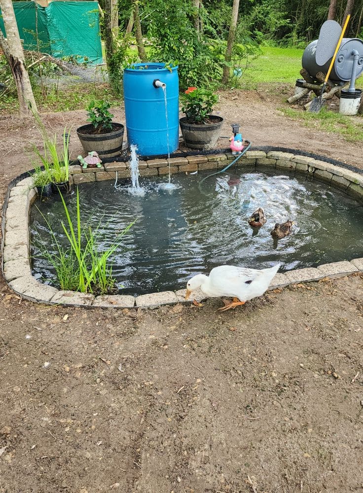 Blue-Barrel Waterfall Duck Pond