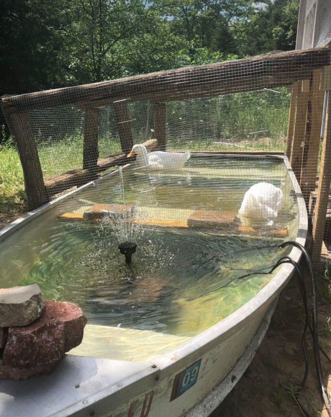 Boat-Pond Duck Oasis