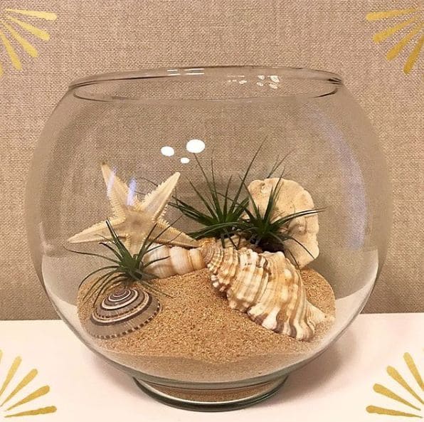 12 Creative DIY Fish Bowl Projects to Brighten Your Home Coastal Shell and Air Plant Bowl